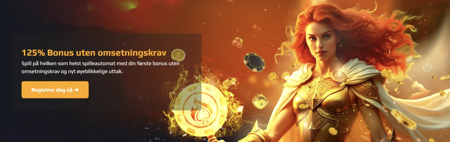 Promotional Banner